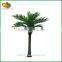 Guangzhou fiberglass artificial coconut tree for outdoor decorative