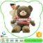 2015 Popular Custom Made Plush Soft Toys Skin
