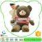 Exceptional Quality Low Price Plush Big Teddy Bear Skin