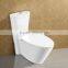 White Glazed One Piece Ceramic 100mm 200mm 300mm S TrapToilet