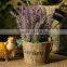 Wholesale Wooden Cask Hanging Plant Bonsai Decorative Bonsai Plant Sale