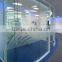sandblasted glass for shower doors design