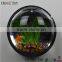 supper quality customized clear acrylic fish tank