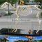 MY Dino-C082 Theme park model scale animals skeleton