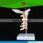 Most popular Cervical spinal column