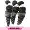 7A Russian Loose Wave Virgin Hair Human Hair Weave Brazilian Virgin Hair Bundles DHL Free Shipping