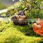 Plant Decoration Terrarium DIY Cute fairy terrarium vintage Mother's day birthday gift[} fairy miniature resin animal figurines