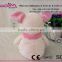 New design Lovely Fashion High quality Customize Kid toys and Baby gifts Wholesale Plush toy Pink pig