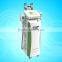 Local Fat Removal Hottest Sale Cryolipolysis Freezing Fat Cryolipolysis Body Sculpture Slimming Weight Loss Machine Increasing Muscle Tone