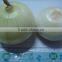 2015 vacuum bag peeled onion for sale from Shandong