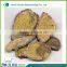 Dry zedoary root Curcuma zedoaria (Ezhu)