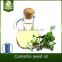 Camellia seed oil physical cold pressed nutrition and health