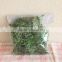 China factory supply MS101 all panton colors natural decor moss for sale