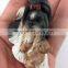 Shi Tzu Dog Fridge Magnets Souvenir Refrigerator Magnets Toy Dogs 3D Resin
