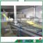 Vegetables and fruits freezing production line