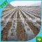 Henna Factory Supply Black Plastic LDPE Mulch Film Mulching Film for Agriculture