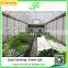 single span aquaponic Greenhouse