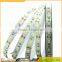 5m 12V 300 Units SMD 5050 LEDs Flexible LED Strip Light for Festival Christmas Halloween Party Decoration