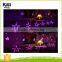 christmas/holiday/party outoor decorations with colorful led light 220v 3m