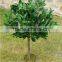 Artificial Plants - 3ft 4ft 5ft Buxus Bay Trees - Indoor Office House Plant