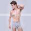 Fashion design stylish Scotland type sexy stripped 95 cotton 5 spandex sexy gay underwear panties made for men