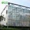 2019 Professional Hydroponics Equipment Large Size Glass Greenhouse