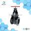 Standard Size Gate Valve A216 Wcb For Hdpe Pipe