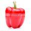 healthy vegetable rich in vitamin frozen red chili with good quality and moderate price in China