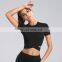high quality Fashionable plus size athletic running jogging sports tshirt women's fitness tops