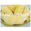 Vietnam Monthon Ri6 WHOLE IQF Premium Quality Sweet Carton Frozen Durian For Dessert Snack And Baking