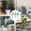 Upgade Automatic Plant Waterer Device Irrigation Drippers for Outdoor Indoor Flower or Vegetables Plant Self Watering Spikes