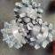 Tricone Bit 11 5/8