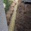 HDPE Underground Warning Mesh