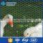 High quality cheap anping hexagonal wire mesh,hot sale anping hexagonal mesh