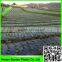 30micron black&silver agricultural mulch film used in greenhouse vegetable planting