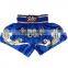 New design with embroidery custom design mma short