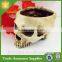 Garden Decorative Resin Skull Flower Pot