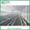 Economical tunnel greenhouse for vegetable