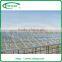 High Gutter and Roof Glass Greenhouse for Agriculture