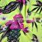 digital printing swimming wear fabric