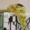 2015 Wholesale Decorative Artificial Grape