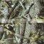 China Hydro Camo Dipping Films for hunting products