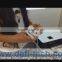 pet product by better supply