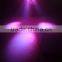 Cheap price led stage light RGB LED effect 288*10mm RGB LED blinder for party use