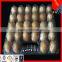 plastic egg box