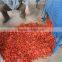 pepper stem removing machine|dry or fresh pepper stem cutter machine|dry chili stem cutting machine