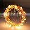 DC 12V Wedding Remote Control Fairy Light Copper Wire Warm White 100leds 10M