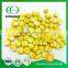 Yellow organic freeze dried sweet corn