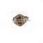 Tiger Eye Oval Cabochon 925 Sterling Silver Rings