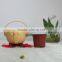Decoration Wooden Color Resin High Heel Flower Pot